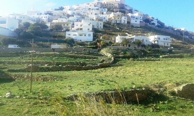 (For Sale) Land Agricultural Land  || Cyclades/Syros-Ano Syros - 4.400 Sq.m, 65.000€ 