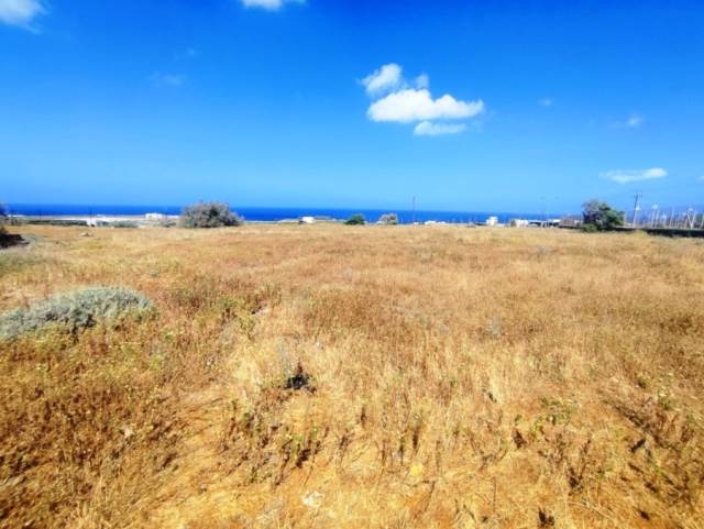(For Sale) Land Plot for development || Cyclades/Santorini-Thira - 1.200 Sq.m, 300.000€ 